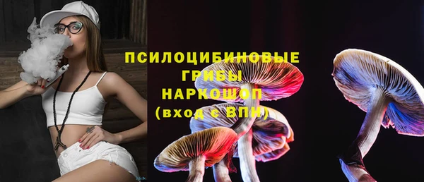 винт Алзамай