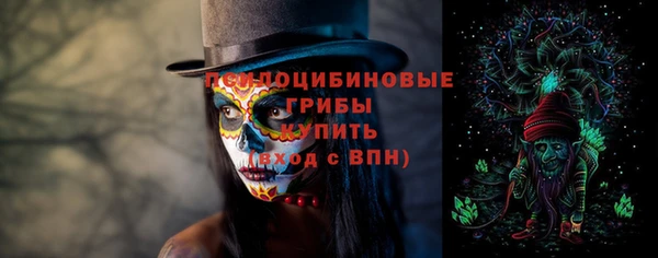 прущий лед Арсеньев