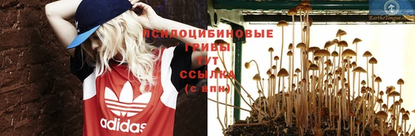 не бодяженный Армянск