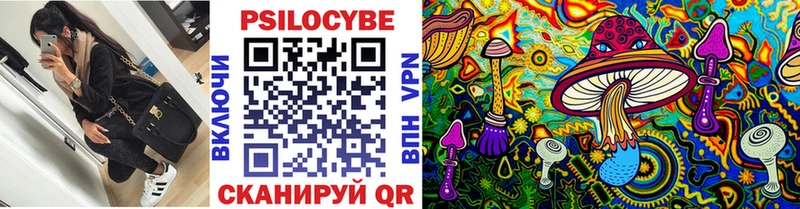 купить   Болхов  Псилоцибиновые грибы мицелий 